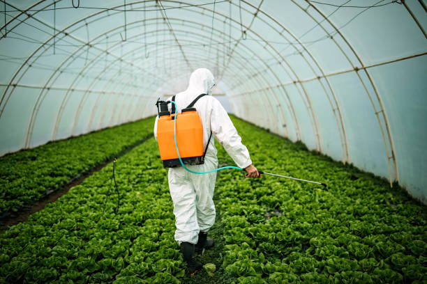 Best Affordable Pest Control Services  in Nicholasville, KY
